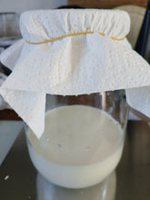 Load image into Gallery viewer, Milk Kefir Grains
