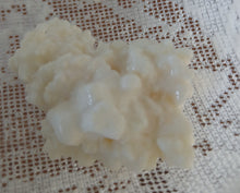 Load image into Gallery viewer, Milk Kefir Grains
