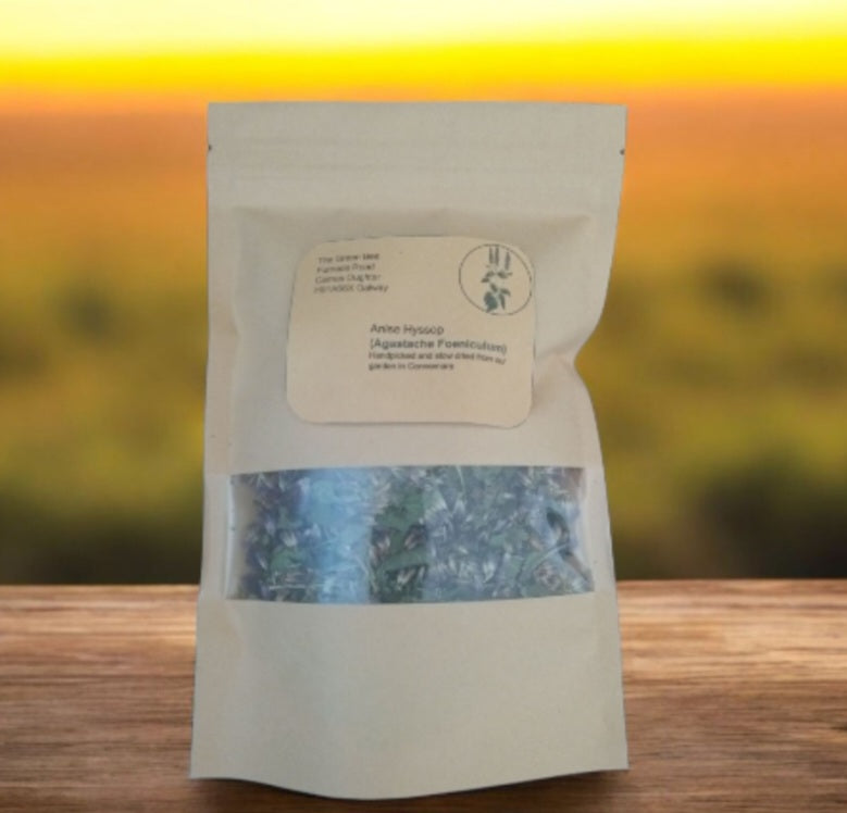 Anise Hyssop